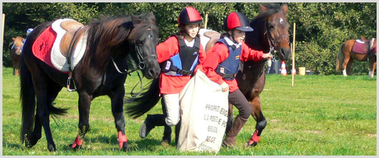 stage d'equitation - jeux equestres