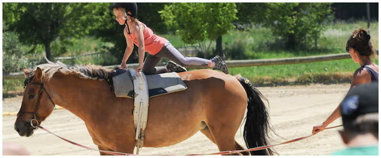 Equitation, voltige et spectacle équestre