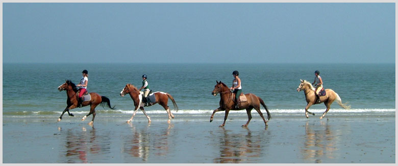 Nos stages d'équitation